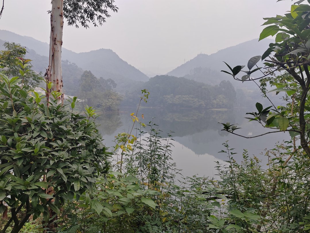 龙台山陵园-依山傍水